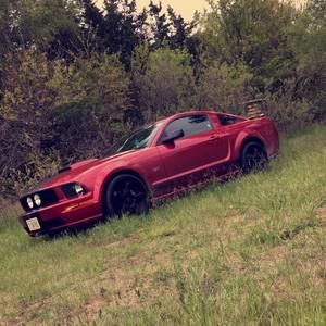 Meet your Posher, Alonzo